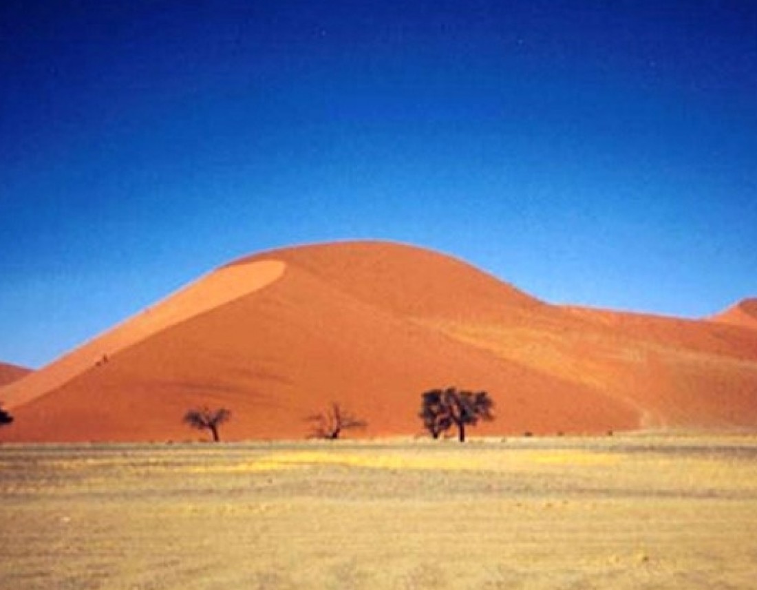 Viaggio in Namibia Selvaggia
