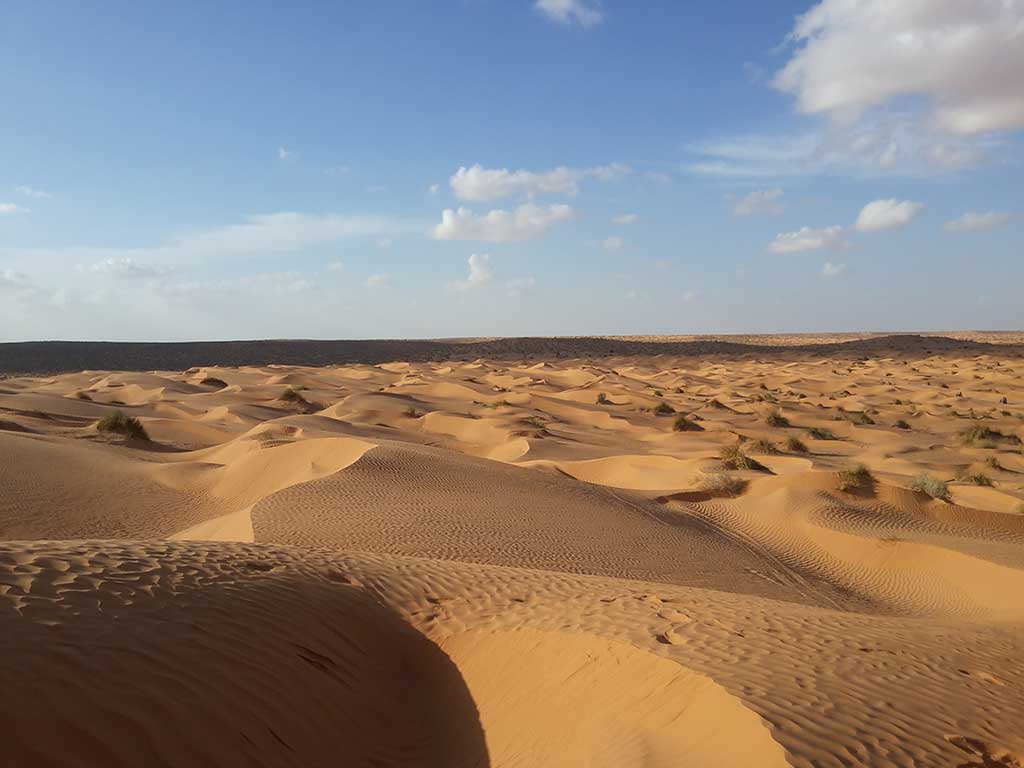 Viaggio in Sahara MotoCowboy Tunisia