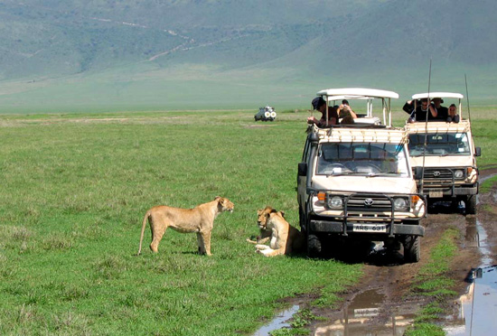 Viaggio in Tanzania