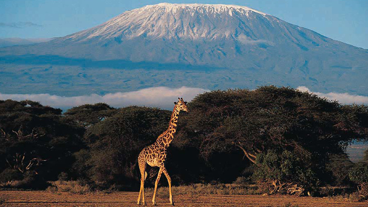 Viaggio in Kilimanjaro - Tanzania