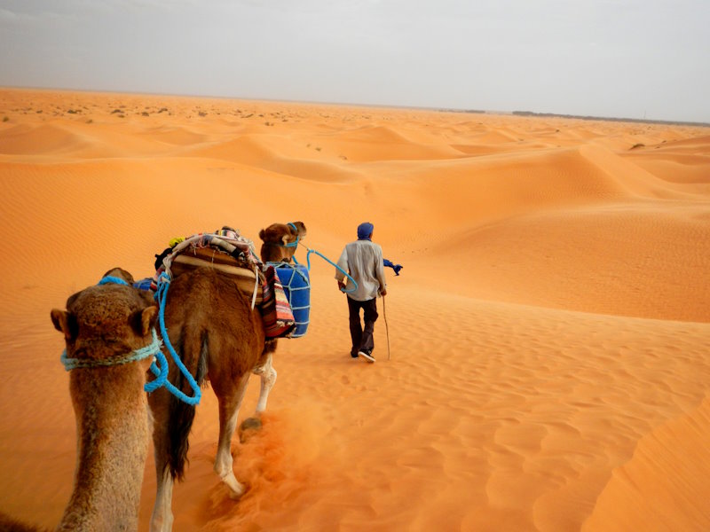 Viaggio in Sahara: camminare tra le dune