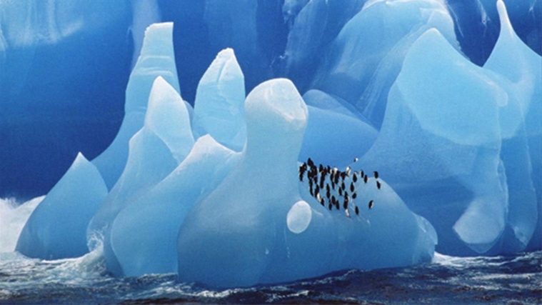 Antartide Iceberg 1